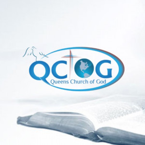 QCOG Live